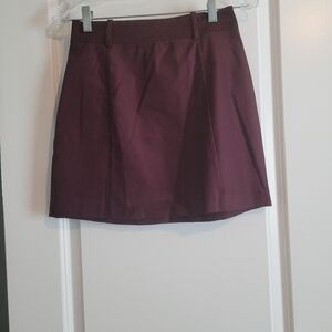 Plum A-line Skirt